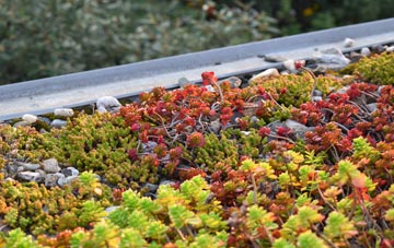 the cost of Mingearraidh green roof installation