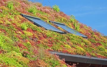 Mingearraidh living roof systems