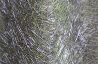 Mingearraidh fibreglass roof work